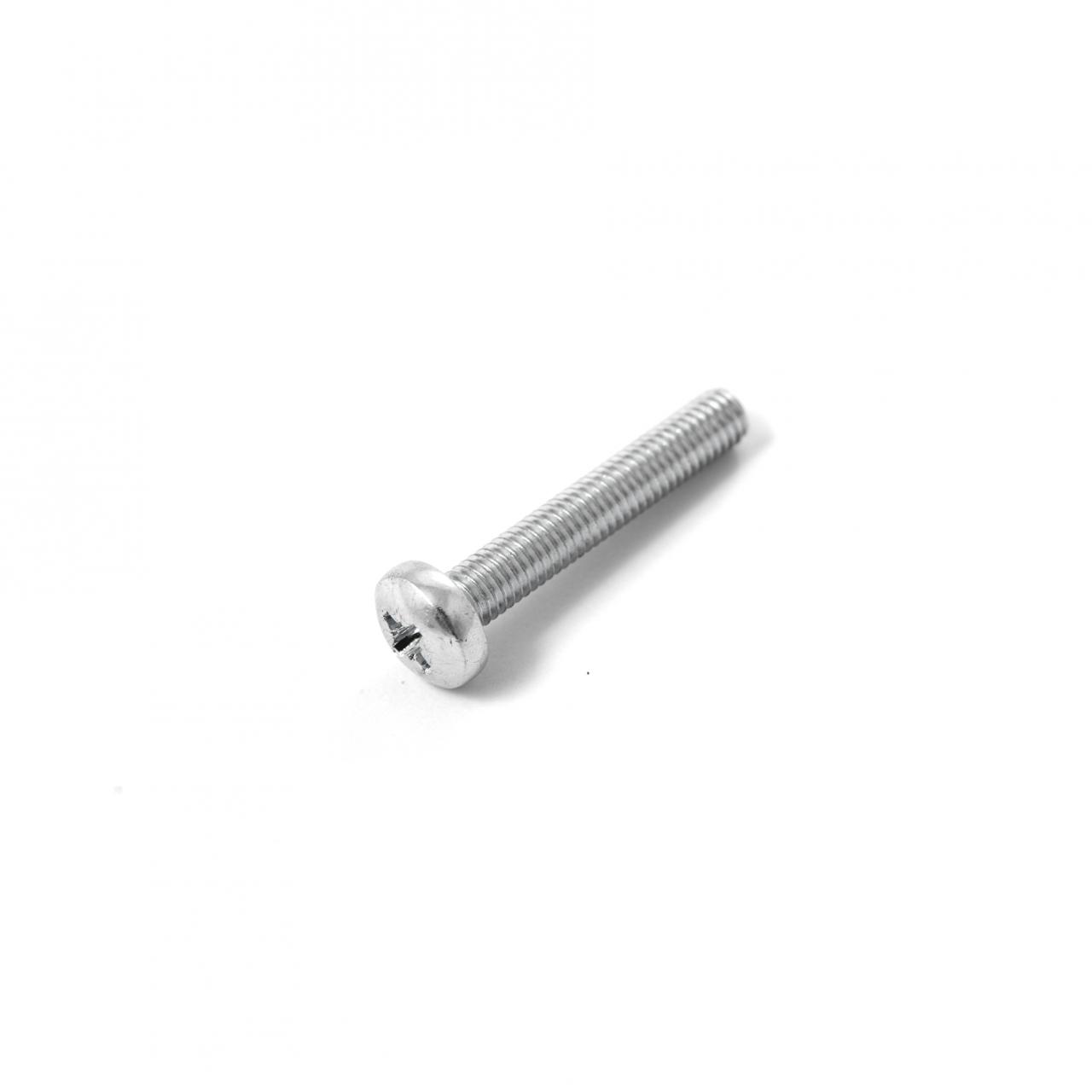 Stainless M5x30mm. pan-head screw
