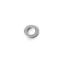 Stainless M10 washer
