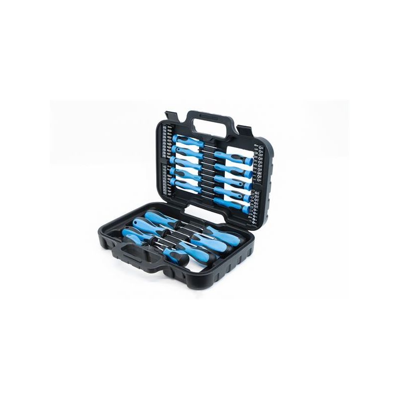 58 Piece Screwdriver & Bit Set in Case